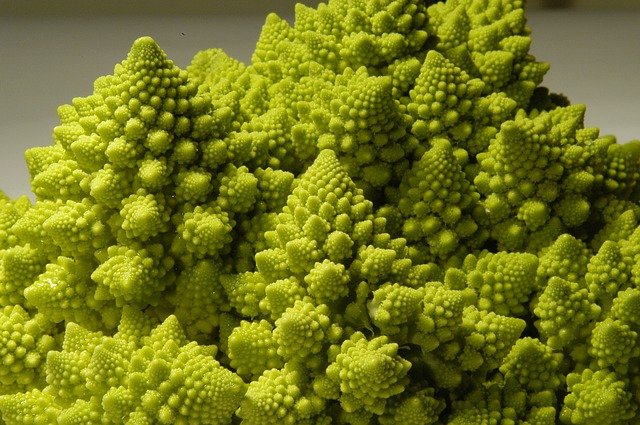 Chou Romanesco bio